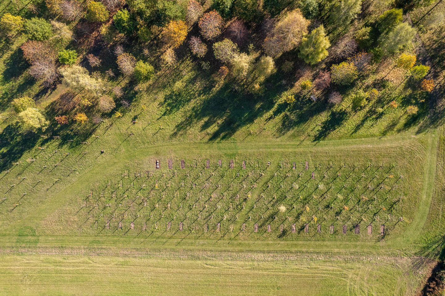 natural burial ground from birds eye view