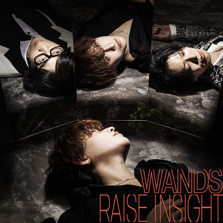 Wands - RAISE INSIGHT - Japan CD+Blu-ray Disc - CDs Vinyl Japan Store