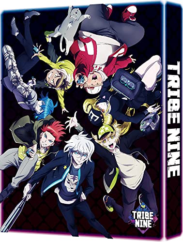 animate】(Blu-ray) In the Land of Leadale TV Series Vol. 1【official】