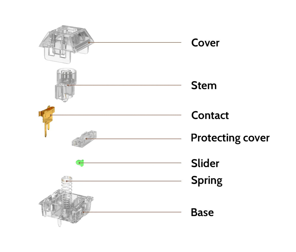 Kailh Jellyfish Box Switch Structure