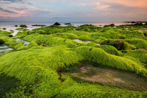 A green rocks scenic view of sea against sky during sunset