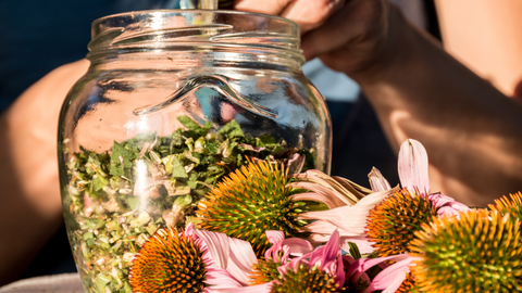 Crushed Echinacea in a glass jar