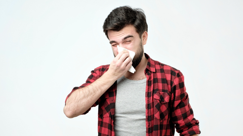 Photo bearded man has running nose rubs nose with handkerchief being ill caught cold