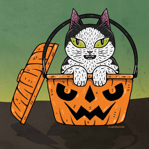 Illustration of a white and black cat sitting in an orange McDonald's Boo Bucket Jack-O-Lantern