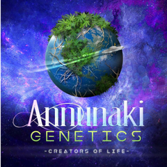 ANNUNAKI GENETICS CANNABIS SEEDS