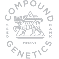 Compound Genetics Cannabis Seeds