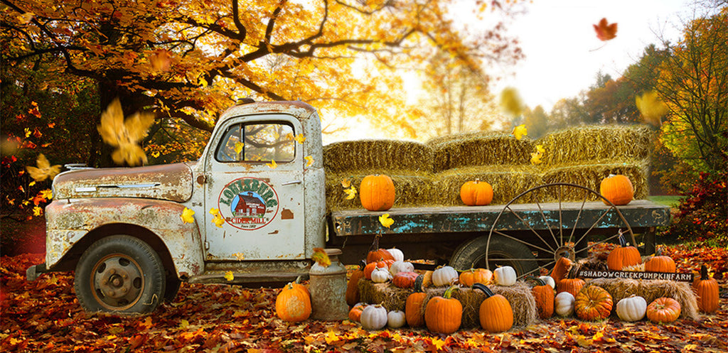 Let's grab the tail of autumn-hold an autumn party!