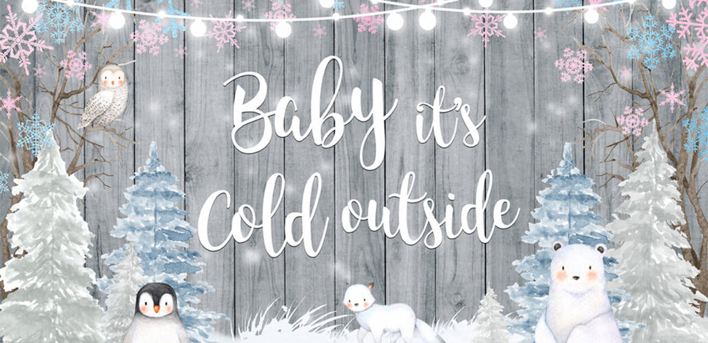 Gorgeous Funny Winter Baby Shower Ideas！