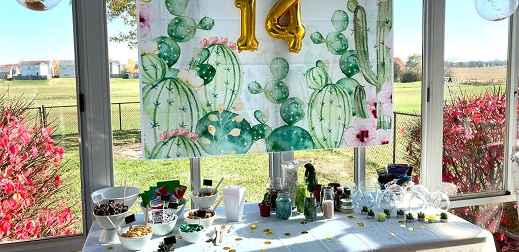 https://www.lofarisbackdrop.com/collections/cheap-party-backdrops