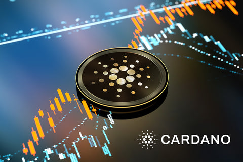 cardano-solodev