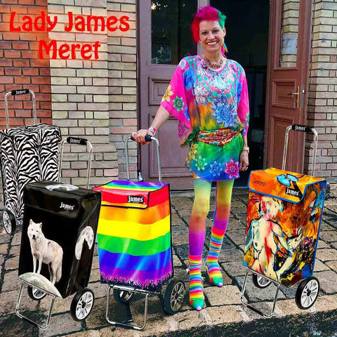 Lady James Meret Rainbow mini