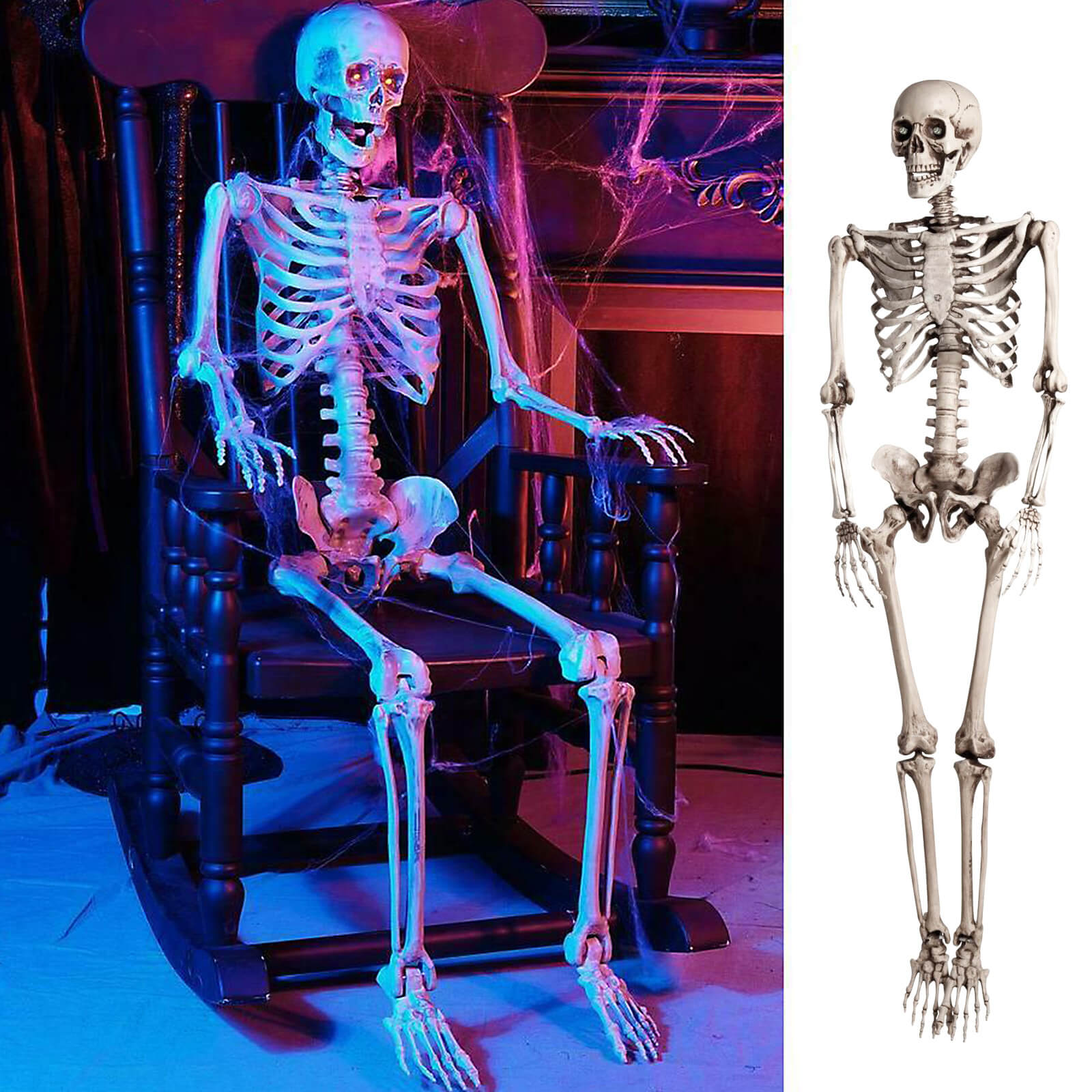 Life Size Skeleton Bcbmall