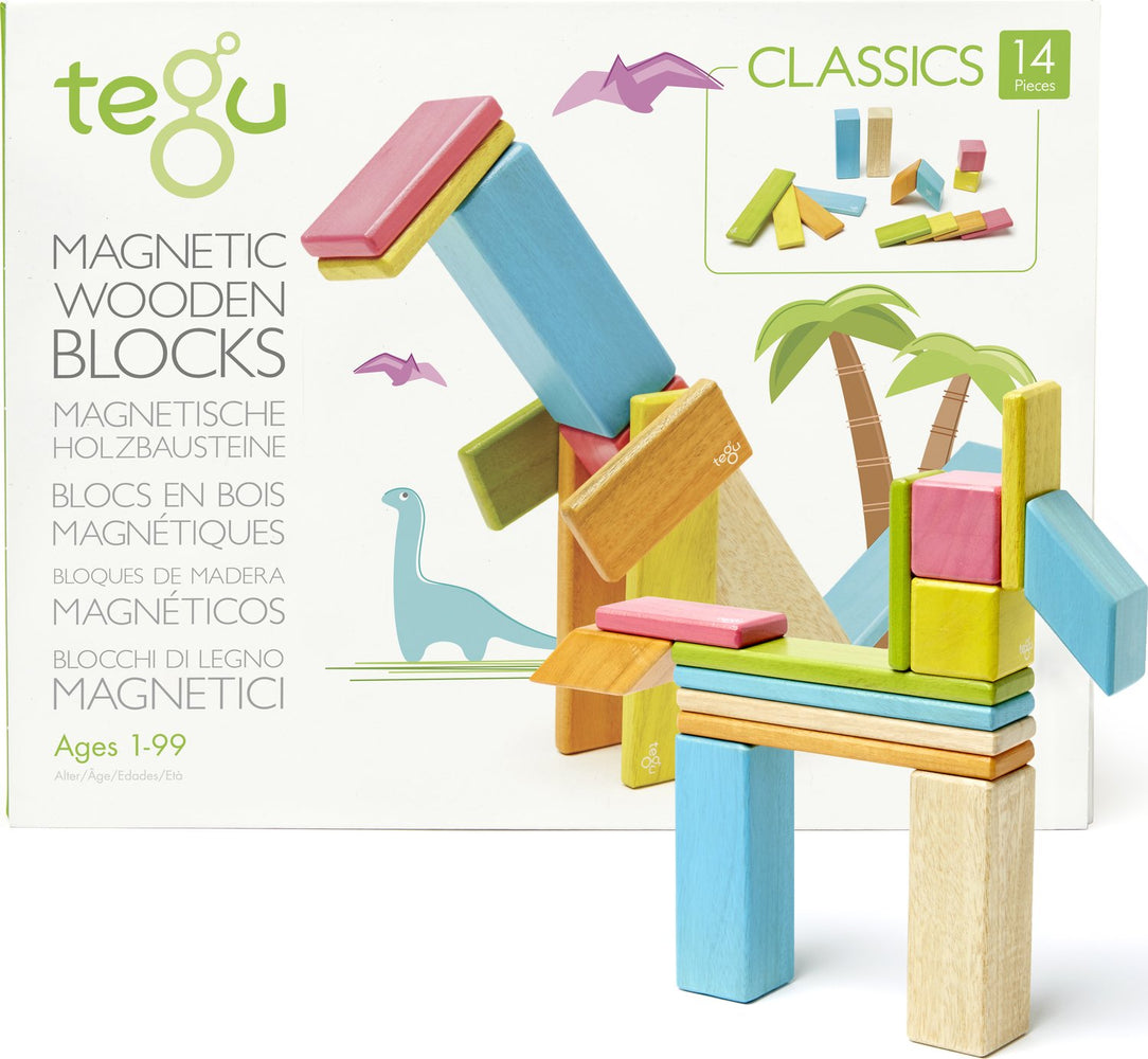 Magnetic Wooden Blocks Tegu Classics