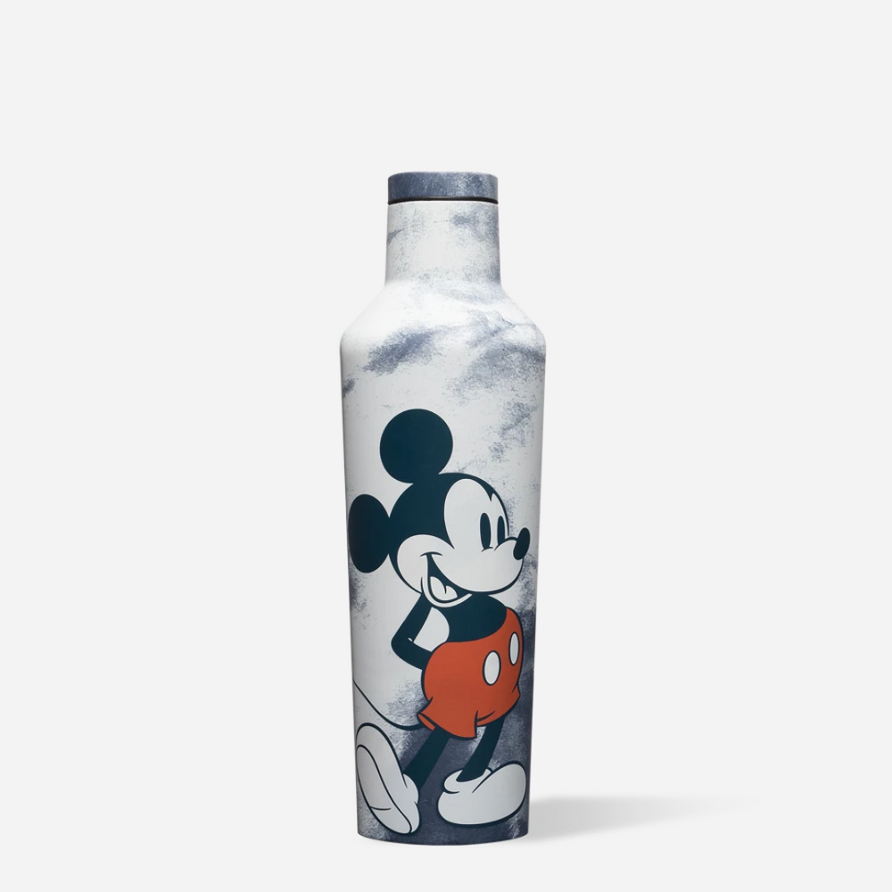 Disney Parks Encanto Stainless Steel Water Bottle with Built-In Straw-16  oz- New