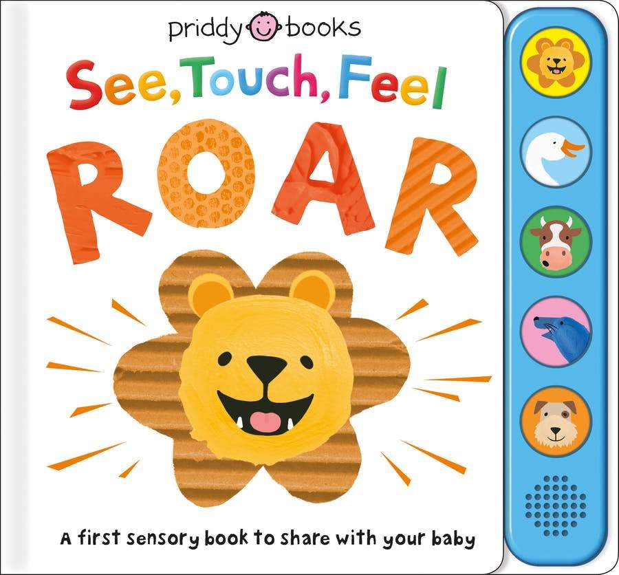 Macmillan See, Touch, Feel: Roar Book