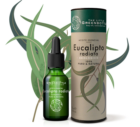 Aceite Esencial puro de Eucalipto Radiata