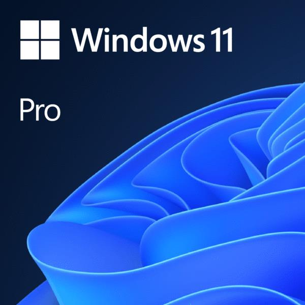 Microsoft Windows 11 Pro Dvd 1 User License Fqc 10528 Dell Online Sa 7632