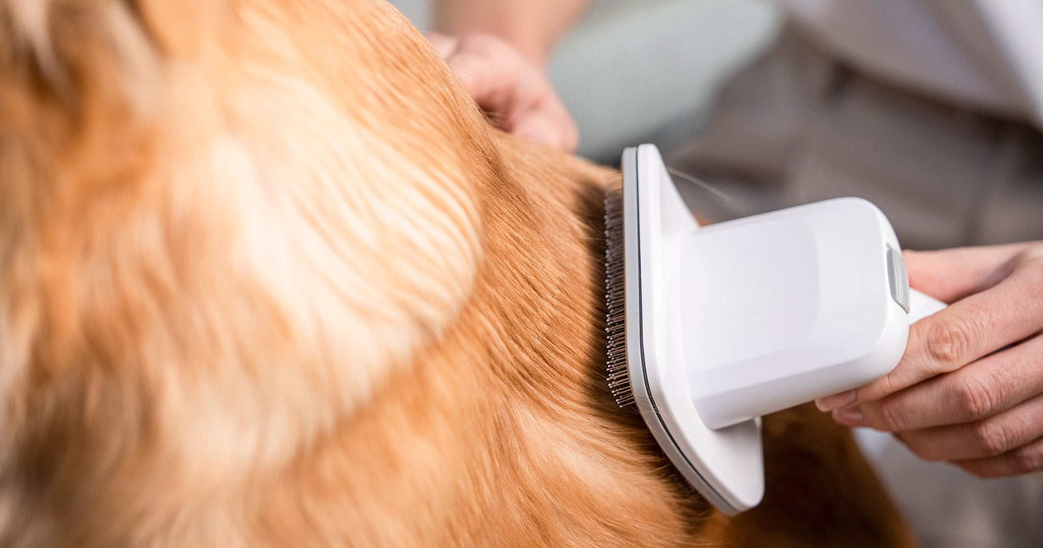 Petkit home salon, airclipper, pet grooming