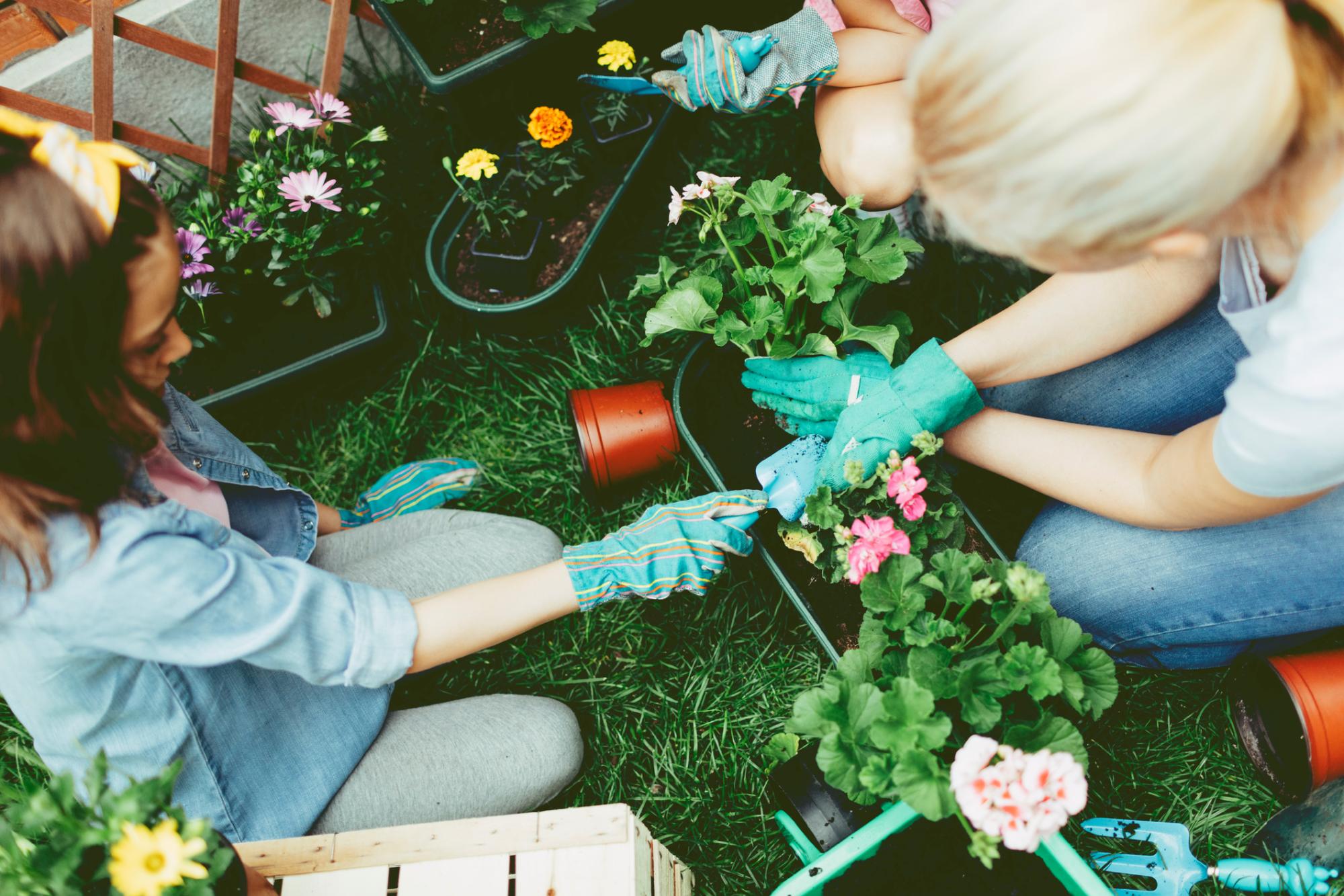 Outdoor Spring Bucket List for Families | Nature's Path