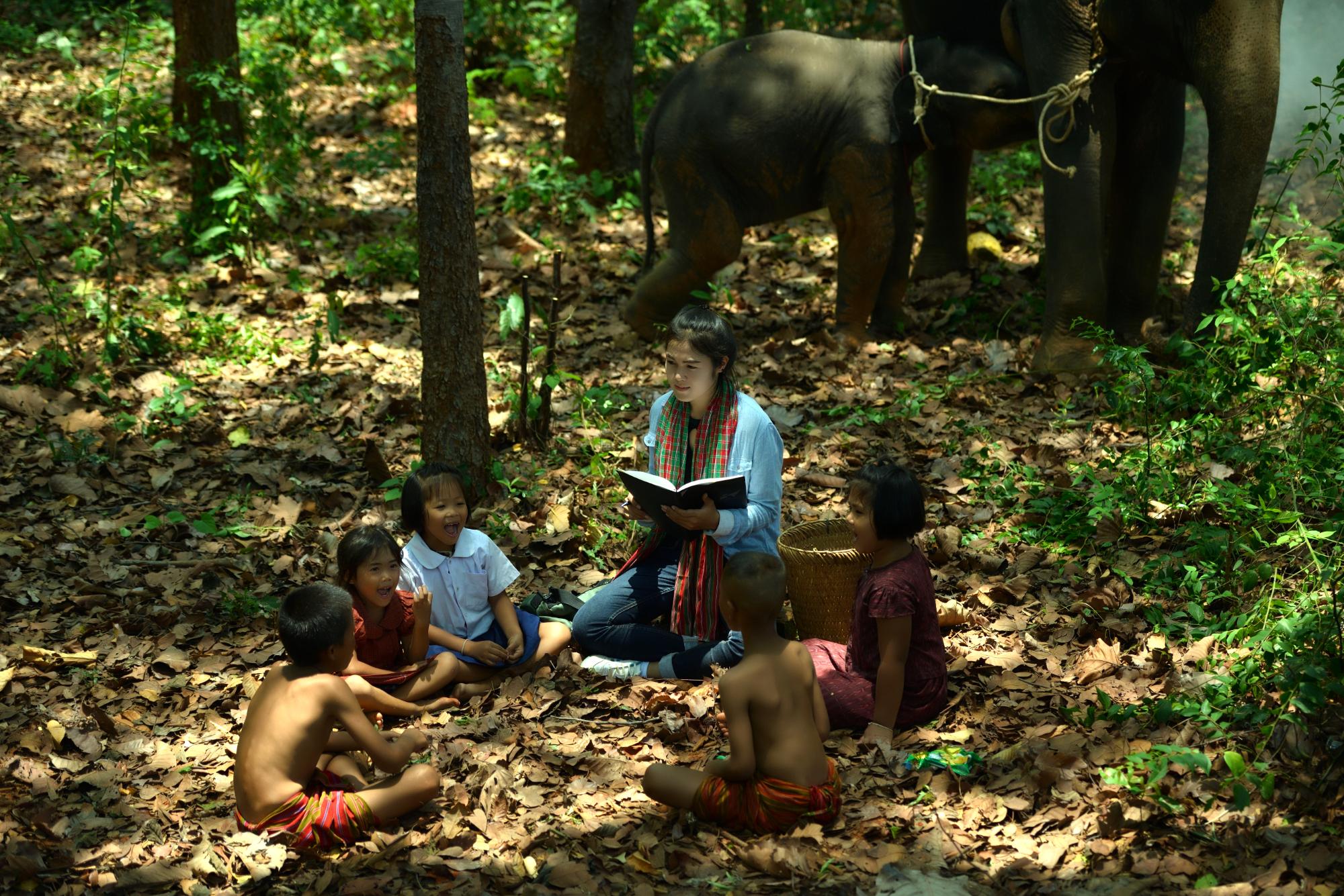 Women teacher teach children with elephant and mahout watching