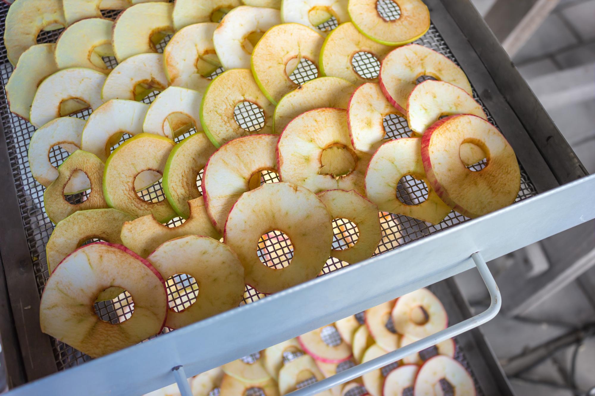 The apples are sliced and placed in a dehydrator