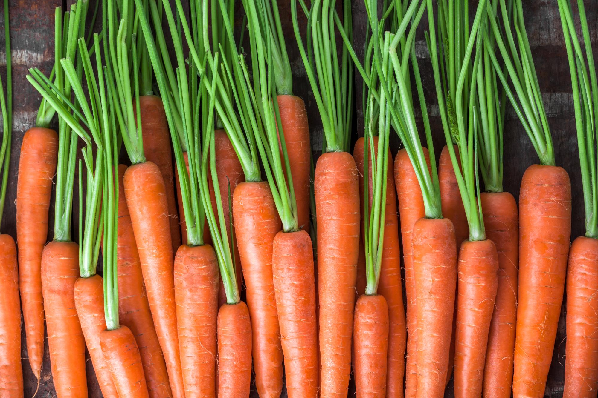 Carrot overhead group lined up on old brown wooden table