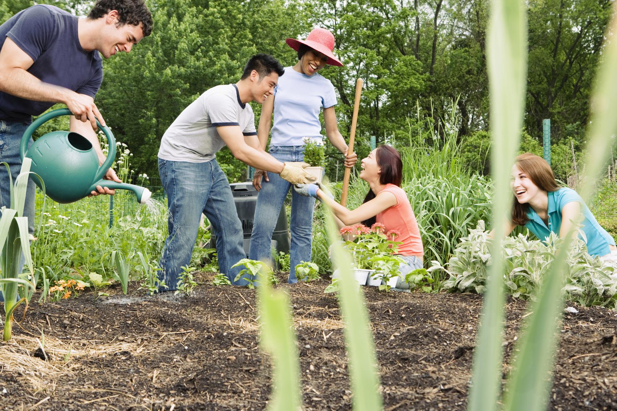 Group working in community garden