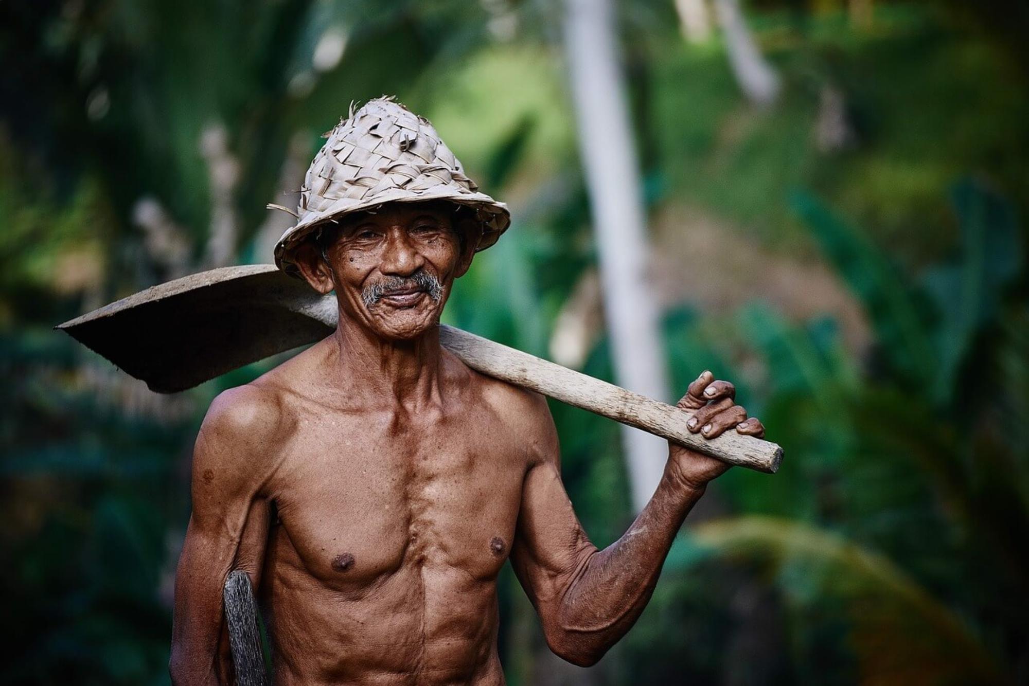 Man sowing the land at a farm