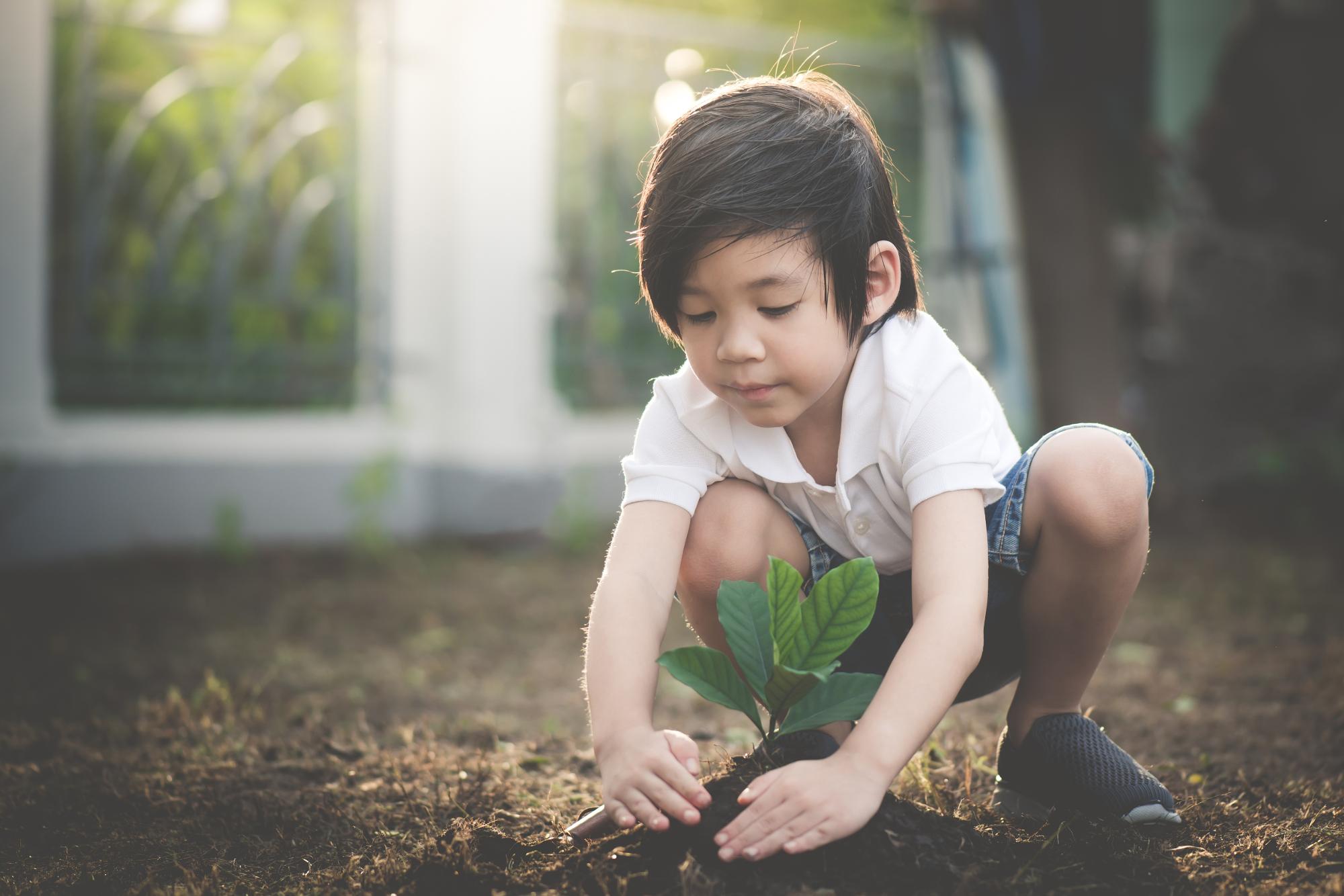 child planting young tree on the black soil