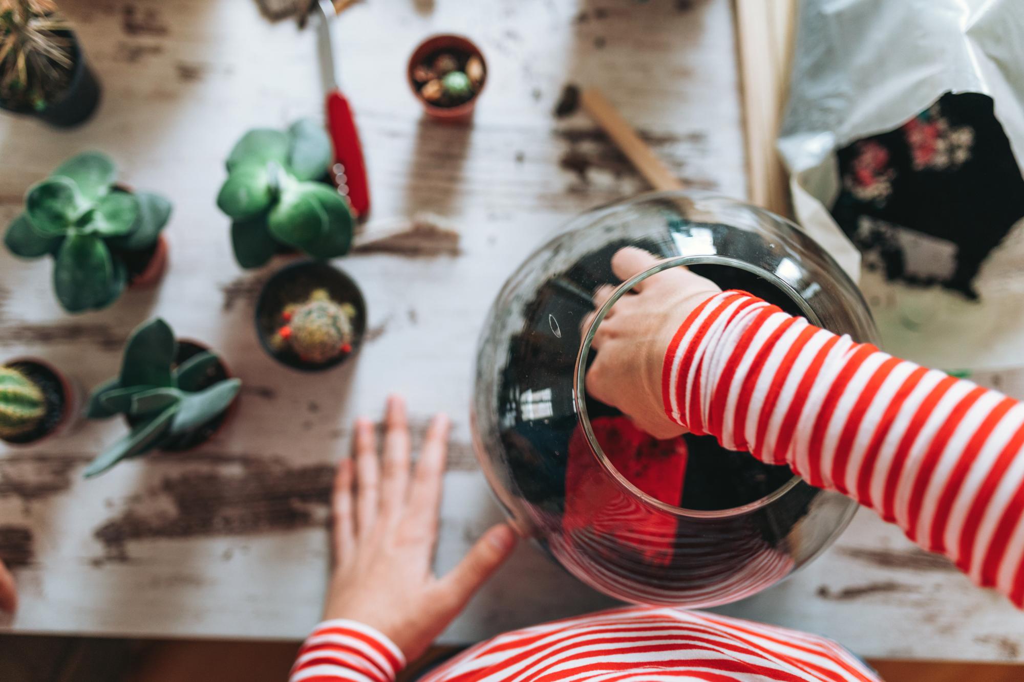 Sensory Bottle Terrarium