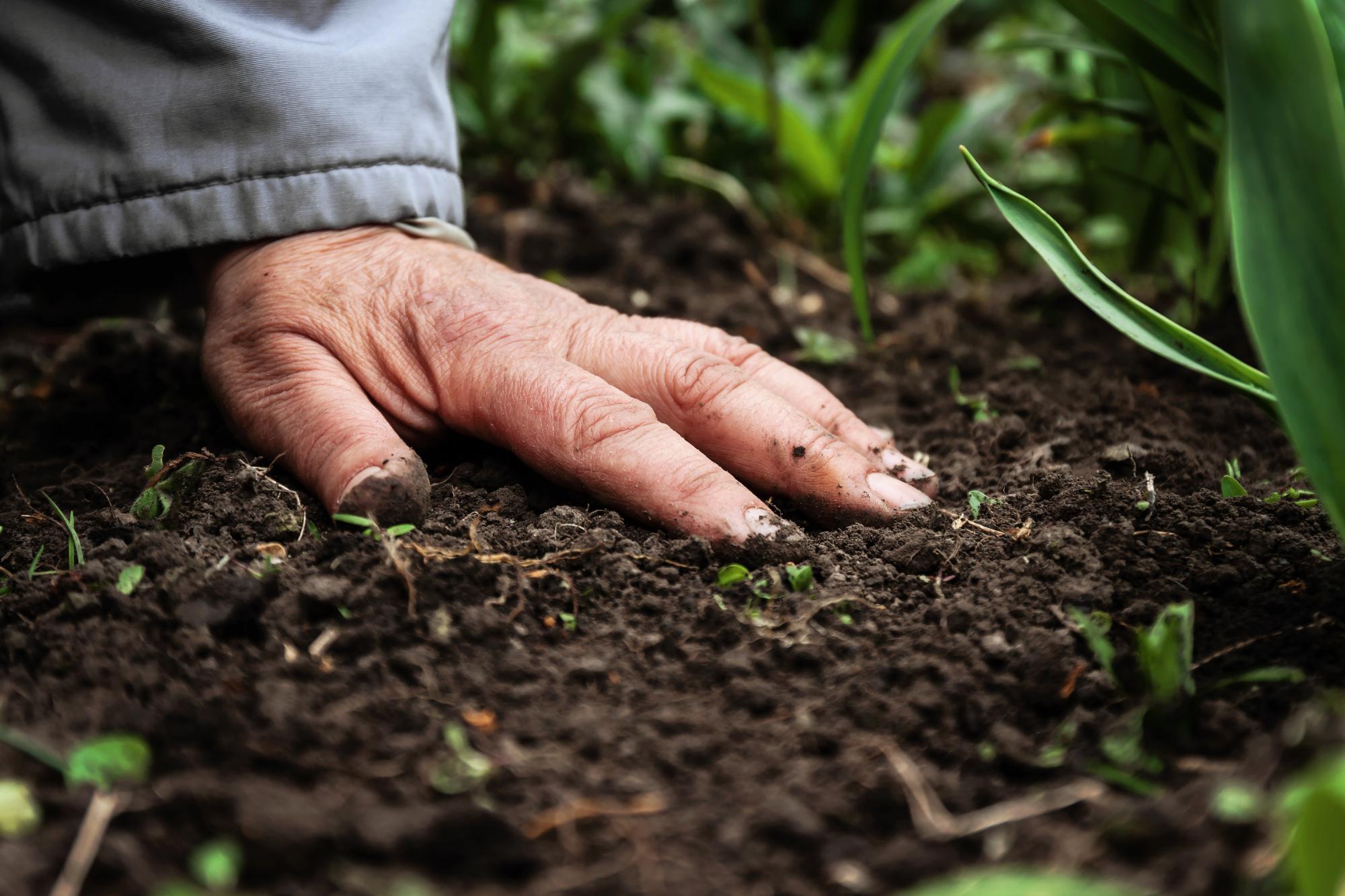 hand on soil earth