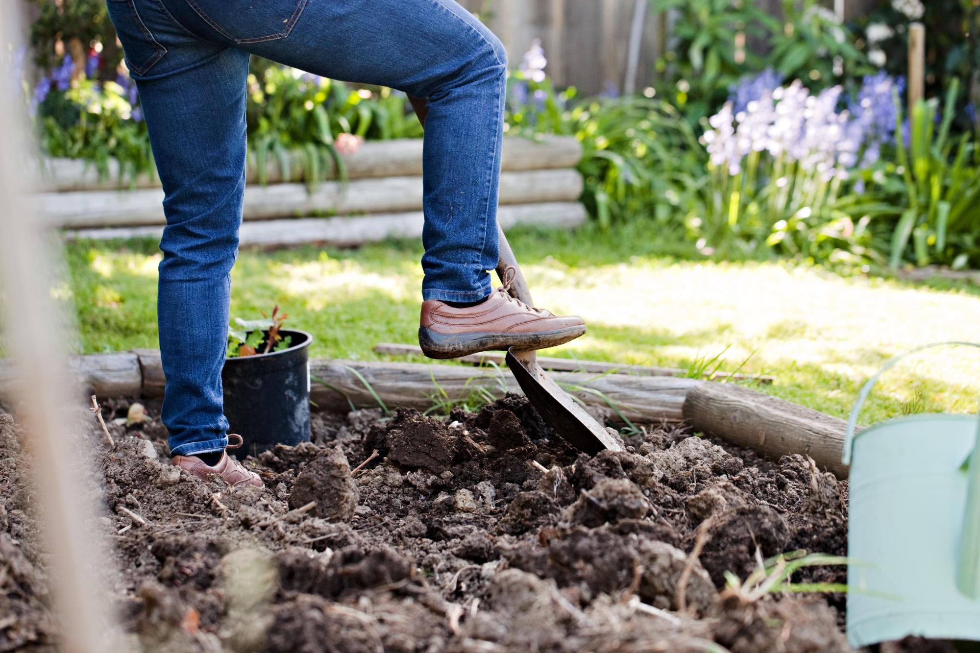 Preparing the Soil in a Backyard Garden