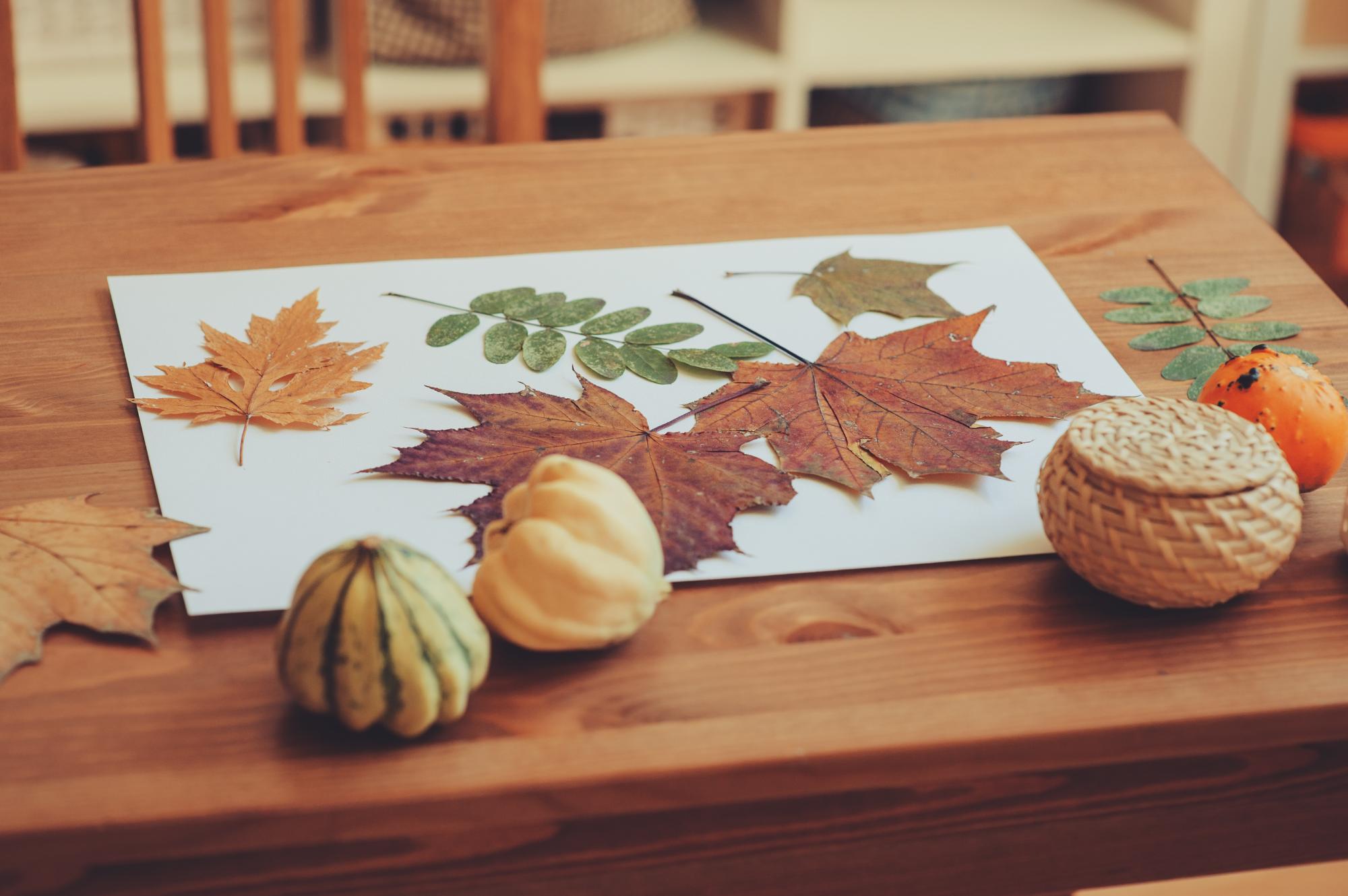 preparations for autumn craft with kids at home