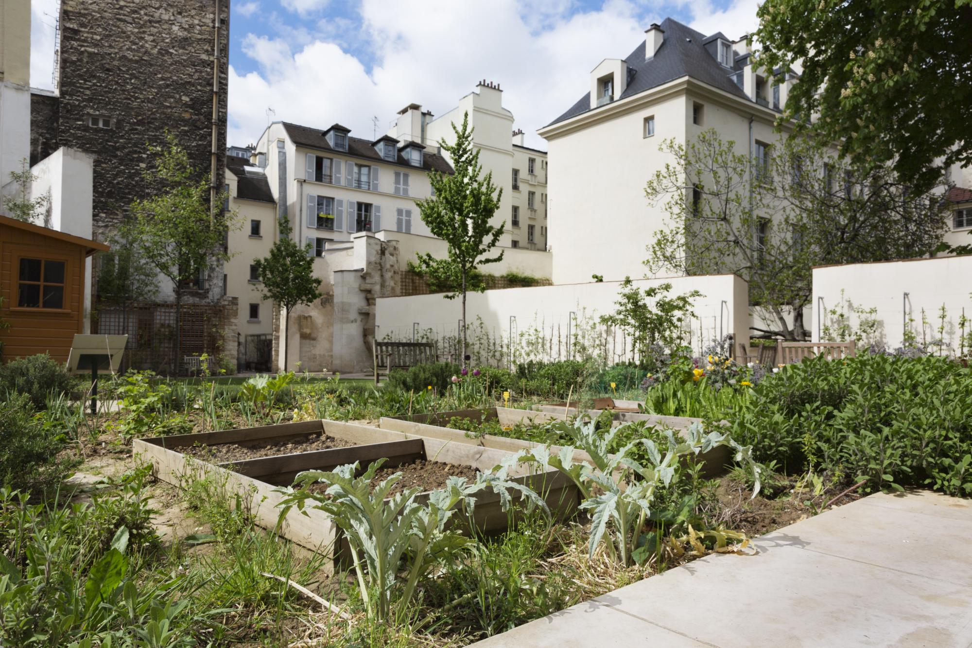 Public garden in backyard of school in Paris, France