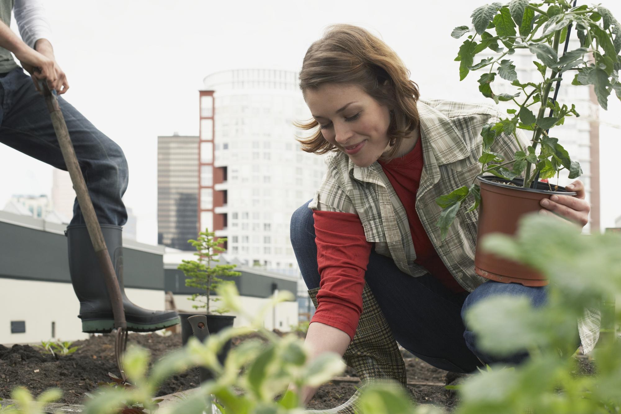 Woman planting roof garden