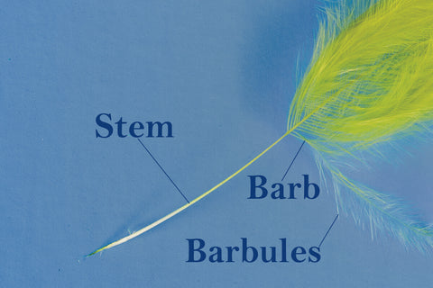 Basic Fly Tying: How to Manage Marabou and other Loose Materials 