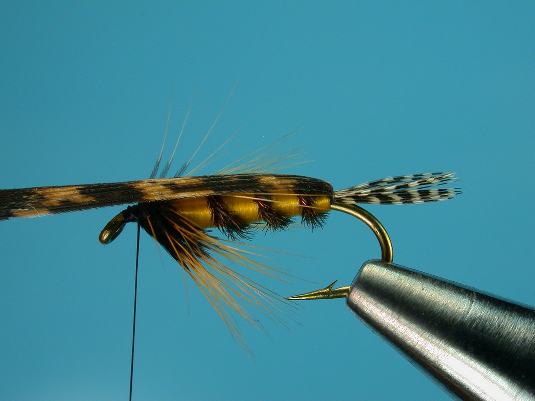 Tellico Nymph – charliesflybox