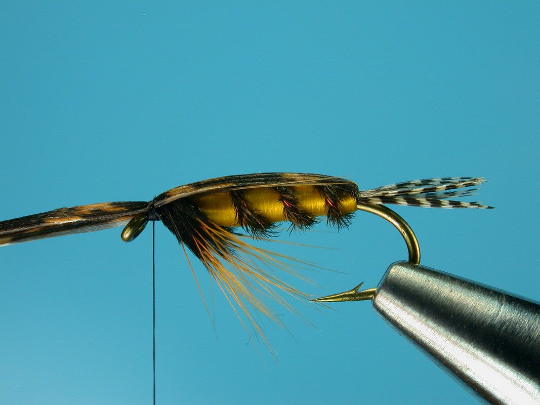Tellico Nymph – charliesflybox