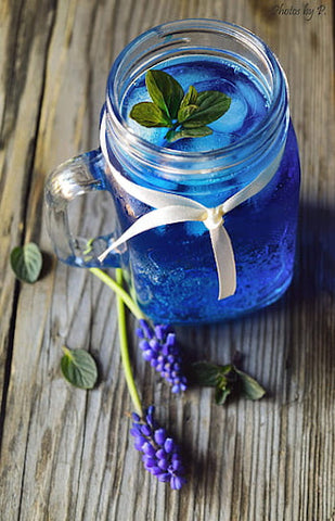 Blue pea infused cocktail/mocktail in mason jar