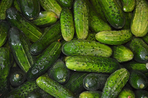 Bunch of pickles