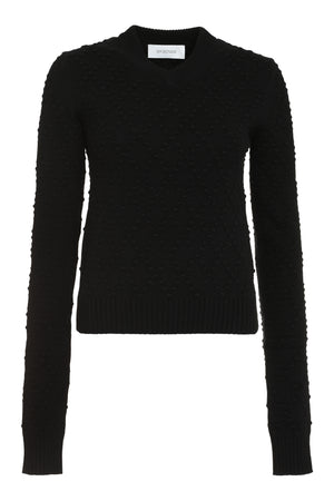 Salve wool and cashmere sweater-0