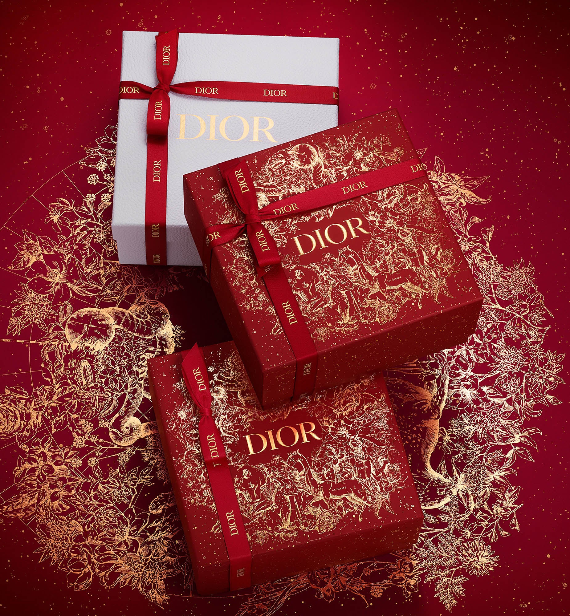 Dior - Chinese New Year 2021 3D Animations  Chinese new year gifts, Dior, Chinese  new year