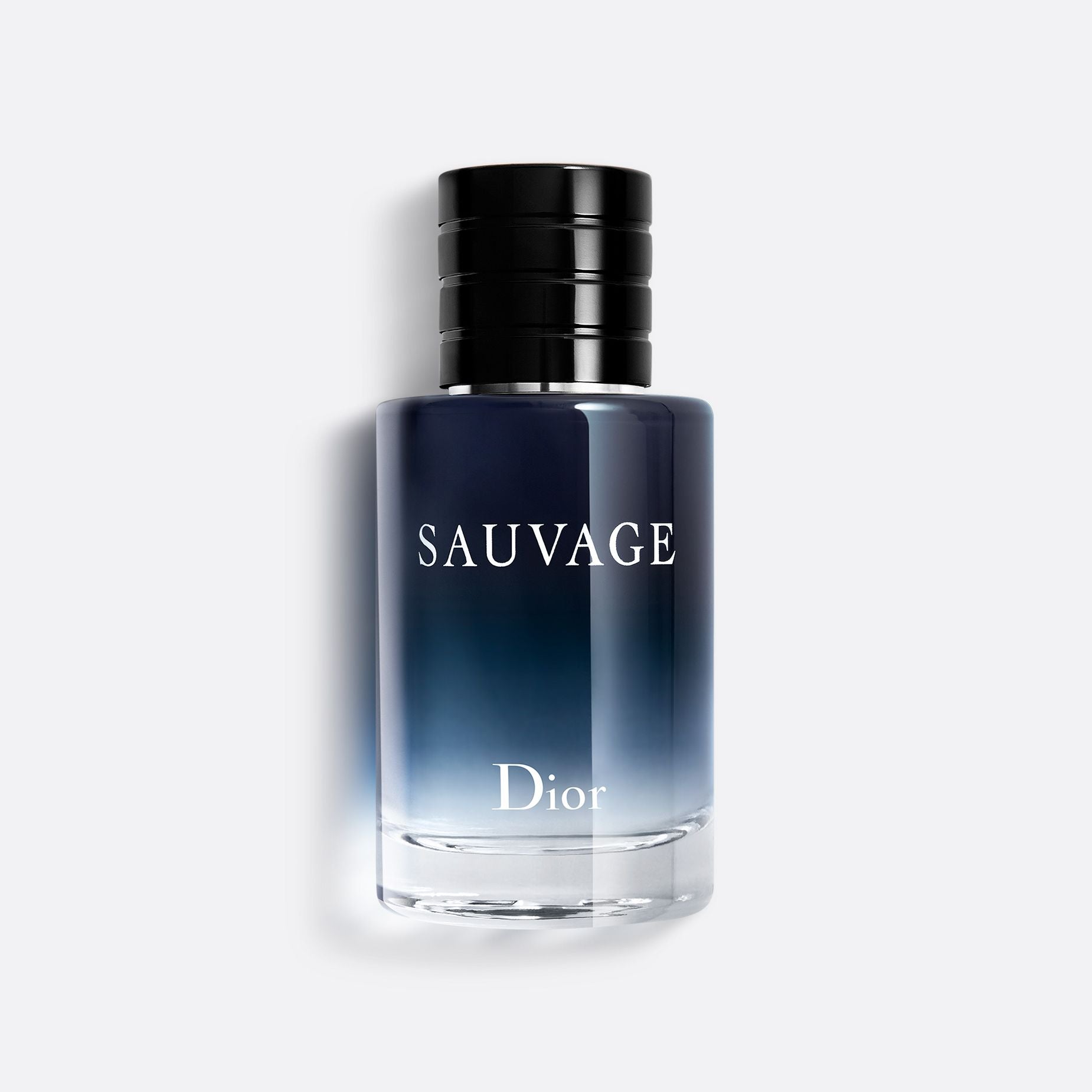 sauvage dior the bay