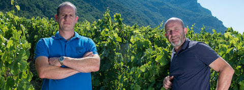 Domaine Denis & Didier Berthollier - Vin de Savoie Chignin