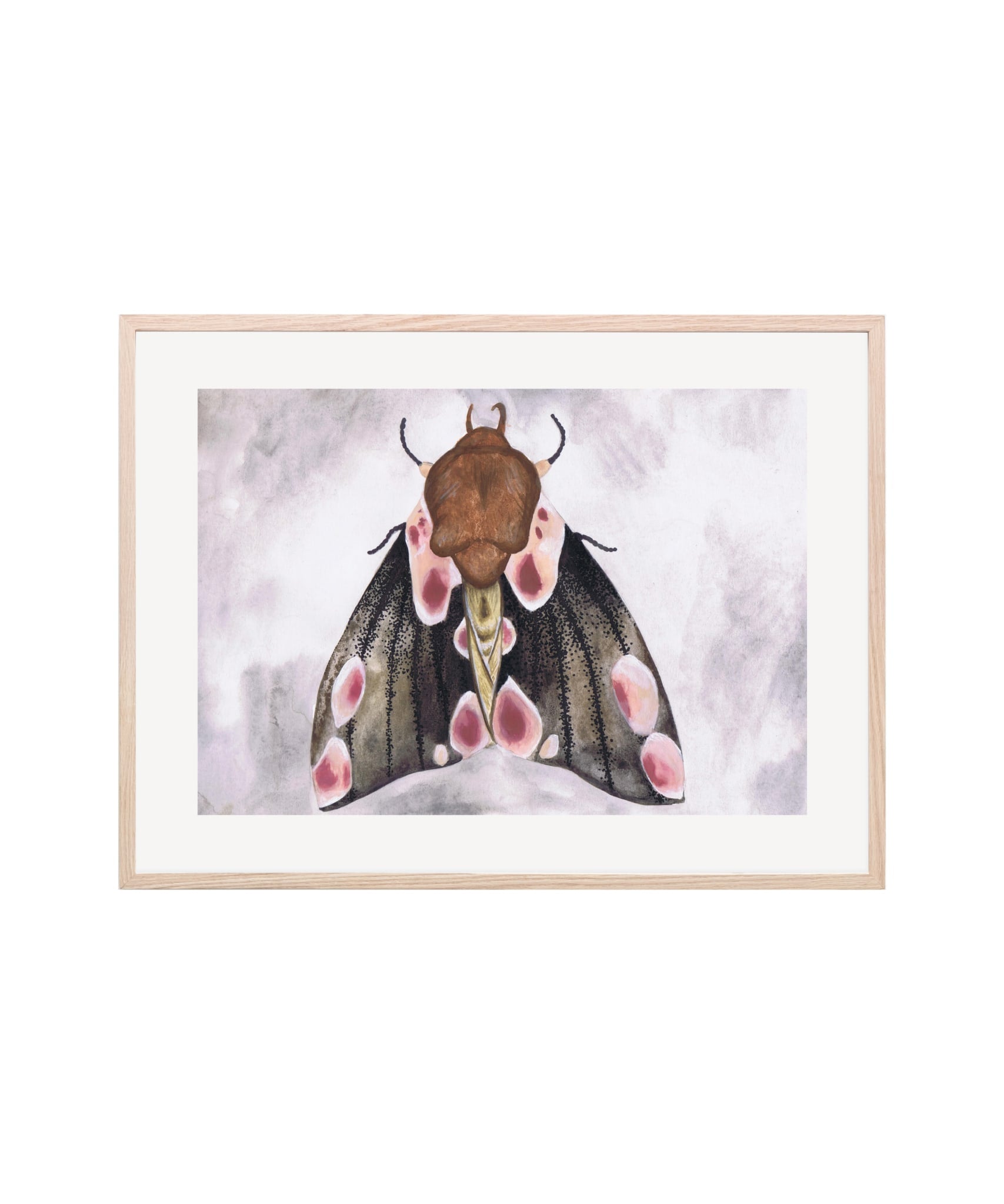 Poster A moth's beauty  -