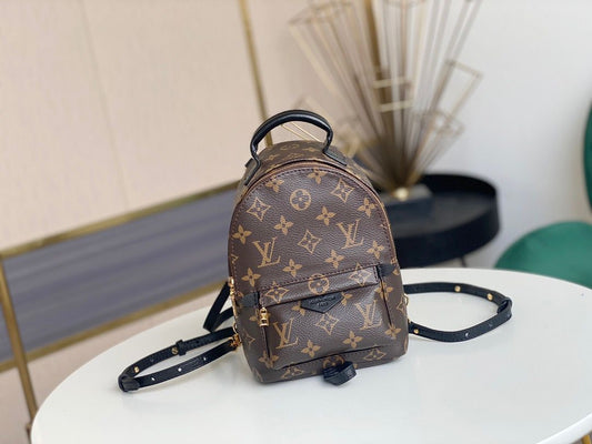 Louis Vuitton Mini Monogram Palm Springs Backpack