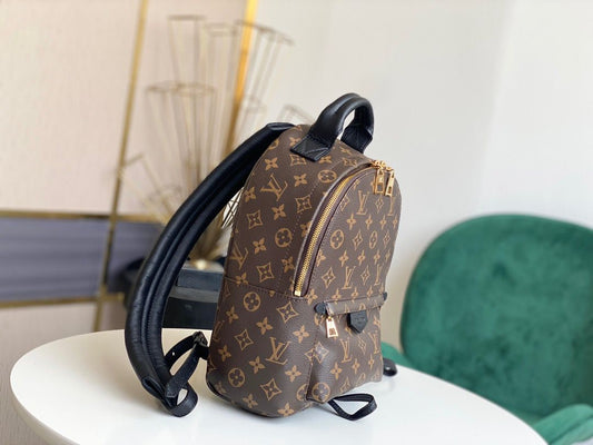 Palm springs leather backpack Louis Vuitton Brown in Leather - 34721012