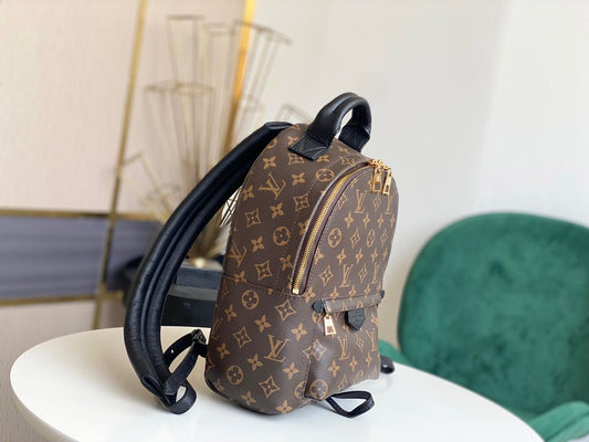 Louis Vuitton Backpack Palm Springs mini Dark brown Leather ref.739285 -  Joli Closet