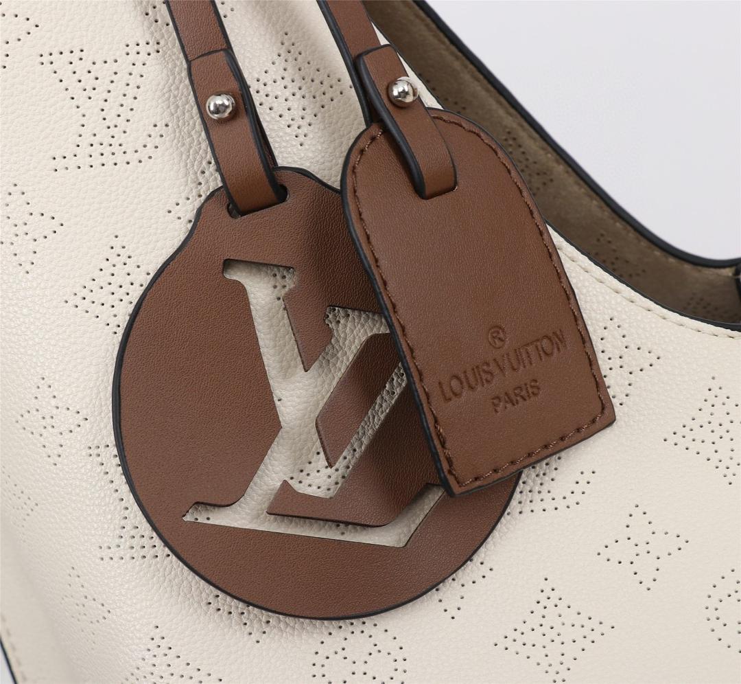 Louis Vuitton Carmel Bag Reviewer