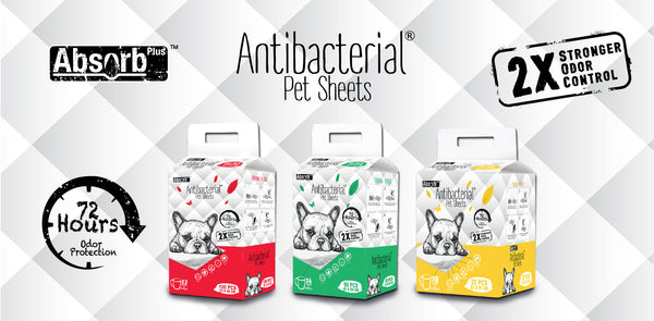 https://www.b2kpet.com.sg/products/absorb-plus-small-antibacterial-pet-sheets